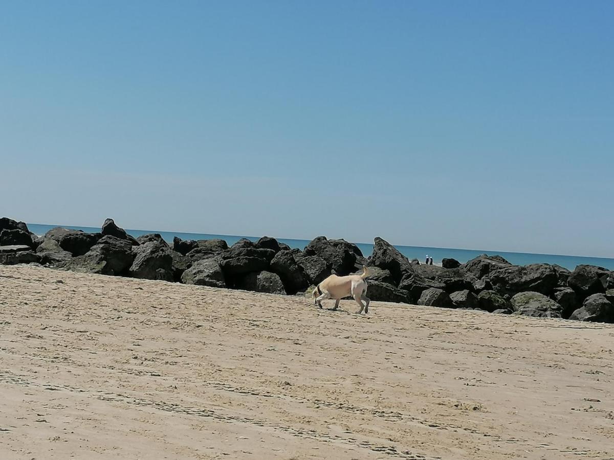 Equihen Plage Maison 83 Kültér fotó